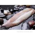 Frozen Monkfish